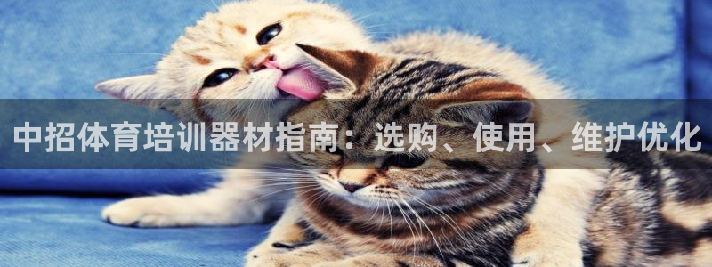 极悦官方网站app下载安卓：中招体育培训器材指南：选