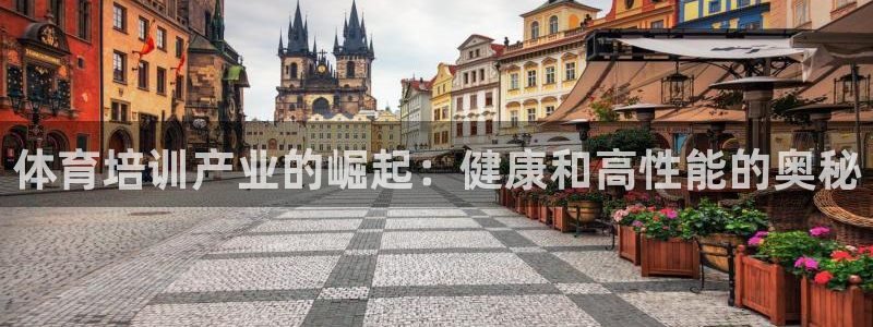 极悦平台用户评价与反馈：体育培训产业的崛起：健康和高