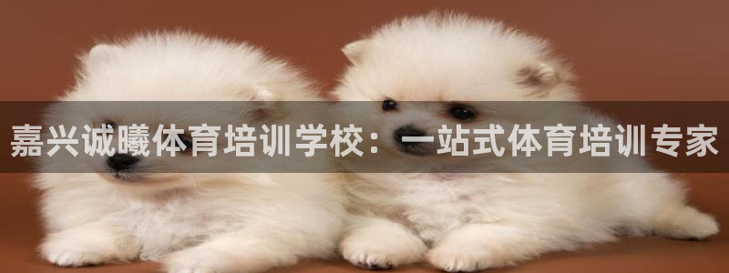 极悦平台注册登录不上：嘉兴诚曦体育培训学校：一站式体
