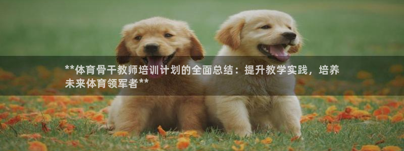 极悦平台有风险吗安全吗：**体育骨干教师培训计划的全