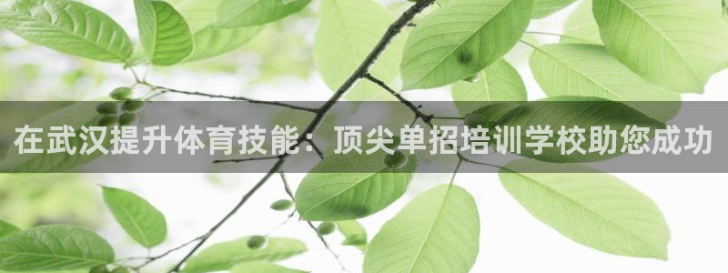 极悦平台官方网站下载：在武汉提升体育技能：顶尖单招培