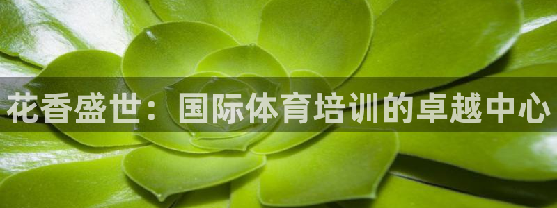极悦平台登录入口注册不了：花香盛世：国际体育培训的卓