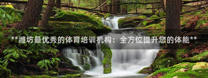 极悦平台用户反馈和反馈一样吗：**潍坊最优秀的体育培
