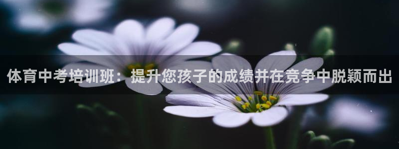 极悦平台用户反馈和反馈的区别：体育中考培训班：提升您