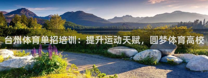 极悦娱乐的创始人背景故事简介：台州体育单招培训：提升