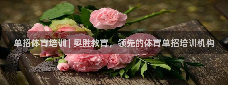 极悦官方网站入口：单招体育培训 | 奥胜教育，领先的