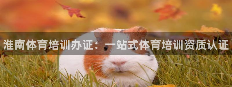 极悦平台登录7.0.2.4手机版下载安装：淮南体育培