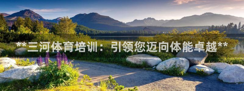 极悦是什么牌子空调：**三河体育培训：引领您迈向体能