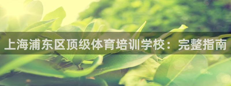 极悦平台app二维码怎么弄的：上海浦东区顶级体育培训
