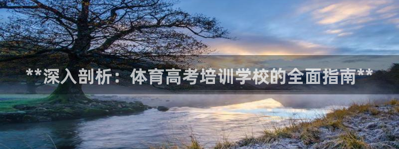 极悦平台是什么：**深入剖析：体育高考培训学校的全面