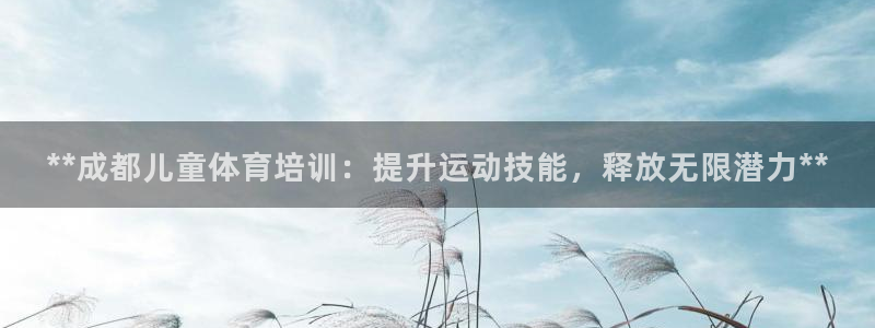 极悦官网首页登录入口：**成都儿童体育培训：提升运动