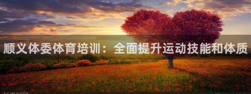 极悦娱乐登录拒绝访问怎么办理：顺义体委体育培训：全面