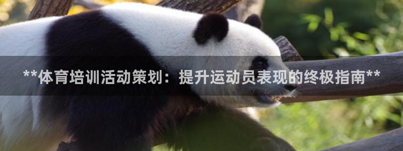 极悦官网注册最新版本更新内容：**体育培训活动策划：