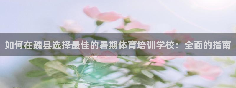 极悦平台注册用户名格式不正确：如何在魏县选择最佳的暑