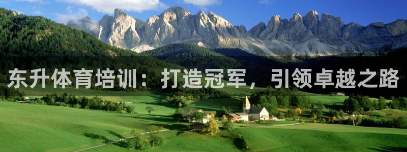 极悦平台代理：东升体育培训：打造冠军，引领卓越之路