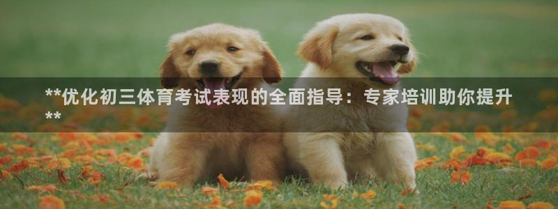 极悦是什么牌子空调：**优化初三体育考试表现的全面指
