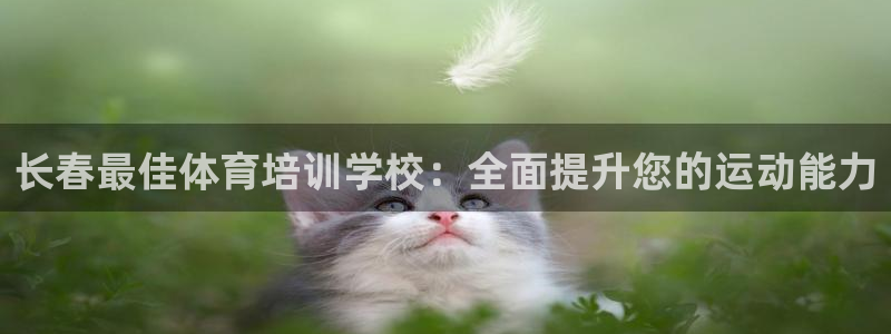 加盟极悦教育要多少钱：长春最佳体育培训学校：全面提升
