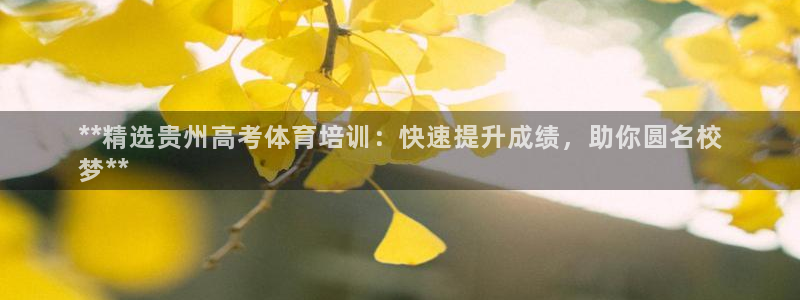 极悦平台app安全吗：**精选贵州高考体育培训：快速