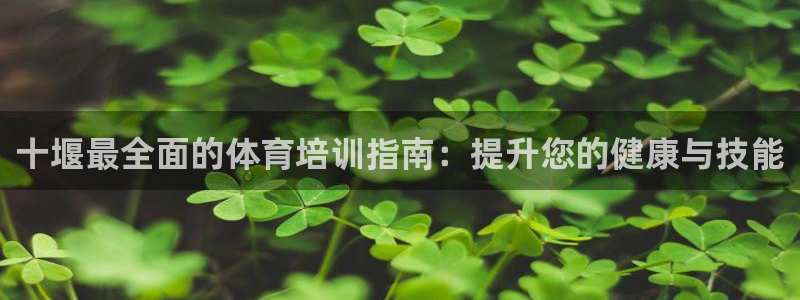 极悦娱乐贴吧最新消息：十堰最全面的体育培训指南：提升