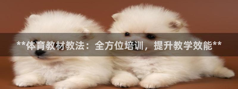 极悦平台注册流程图：**体育教材教法：全方位培训，提