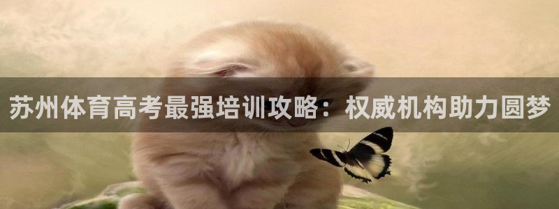 极悦娱乐公司最新招聘信息网：苏州体育高考最强培训攻略