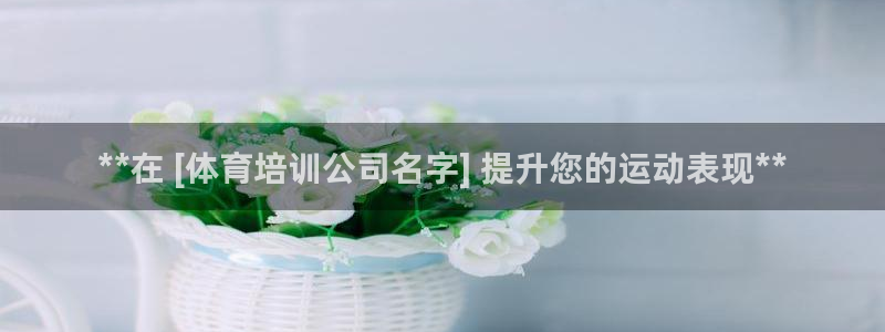 极悦平台注册用户名格式：**在 [体育培训公司名字]