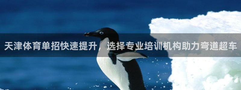 极悦娱乐公司最新招聘信息电话：天津体育单招快速提升，