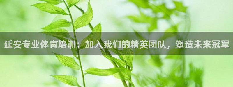 加盟极悦教育：延安专业体育培训：加入我们的精英团队，