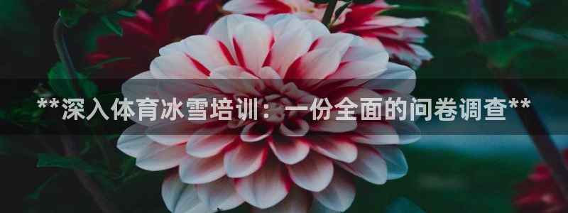 极悦平台app二维码怎么弄出来：**深入体育冰雪培训