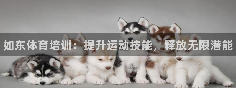 极悦娱乐官网app下载苹果版：如东体育培训：提升运动