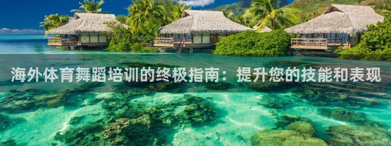 极悦娱乐代理多少钱：海外体育舞蹈培训的终极指南：提升