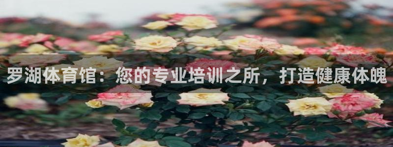 极悦平台股东是谁：罗湖体育馆：您的专业培训之所，打造