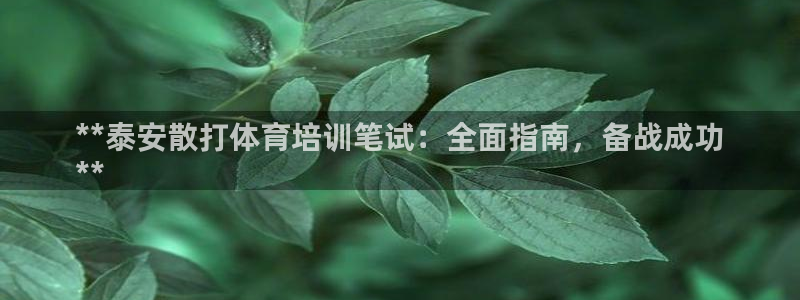 极悦平台股东是谁：**泰安散打体育培训笔试：全面指南