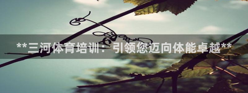 极悦娱乐代理多少钱一个：**三河体育培训：引领您迈向