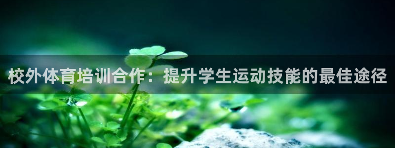加盟极悦教育多少钱：校外体育培训合作：提升学生运动技