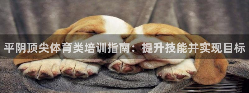 极悦娱乐公司最新招聘信息：平阴顶尖体育类培训指南：提