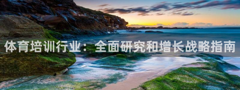 极悦平台是正规平台吗安全吗：体育培训行业：全面研究和