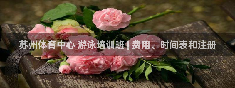 极悦平台官网登录入口网址是什么：苏州体育中心 游泳培