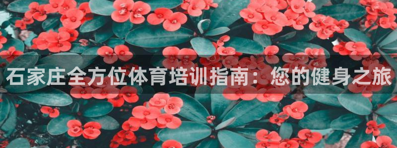 极悦平台官方网站首页下载：石家庄全方位体育培训指南：