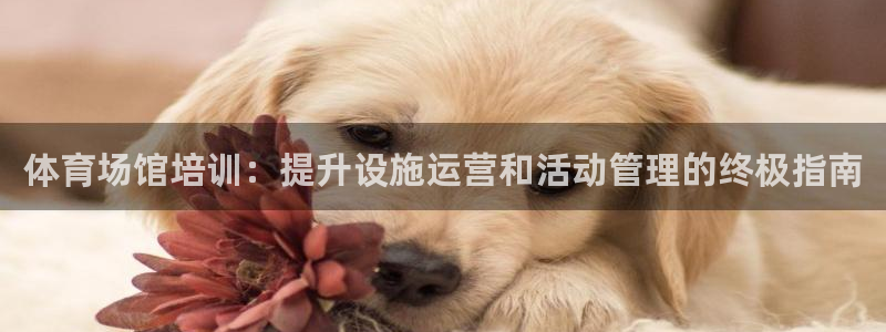 极悦平台平台注册方法与步骤是什么：体育场馆培训：提升