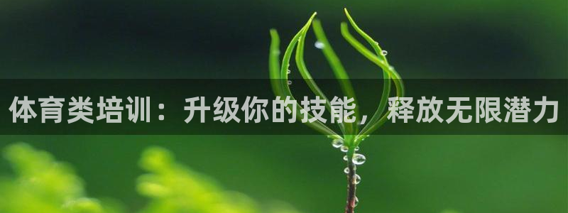 极悦娱乐的创始人背景故事是什么：体育类培训：升级你的