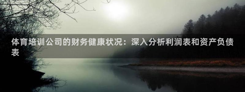 极悦平台使用教程图片：体育培训公司的财务健康状况：深