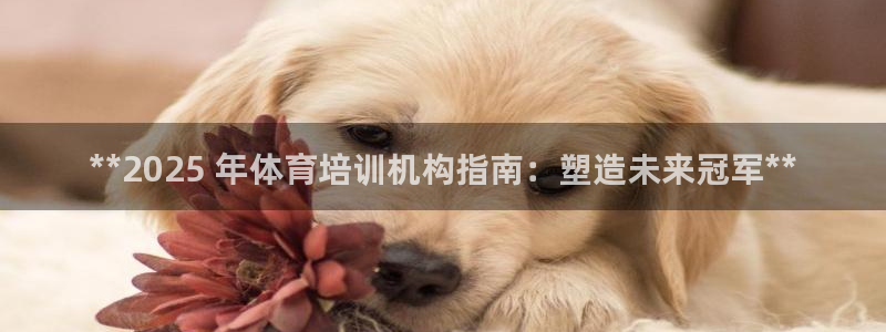 极悦平台官网入口下载：**2025 年体育培训机构指