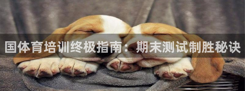极悦平台注册的弊端及解决方法：国体育培训终极指南：期