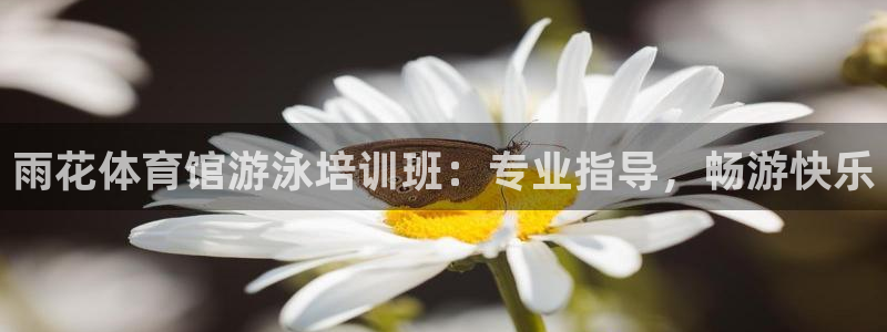 极悦平台用户反馈和反馈：雨花体育馆游泳培训班：专业指