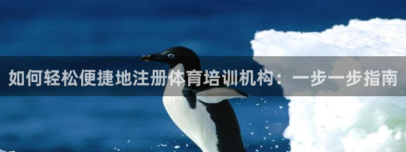 极悦平台注册官网网址：如何轻松便捷地注册体育培训机构