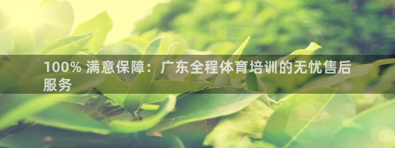 极悦平台官方网址查询：100% 满意保障：广东全程体