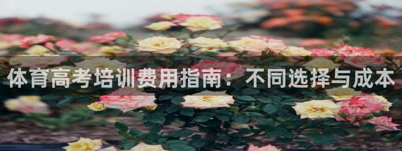极悦平台用户评价与反馈怎么设置：体育高考培训费用指南