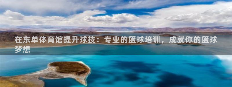 极悦平台官网登录入口：在东单体育馆提升球技：专业的篮