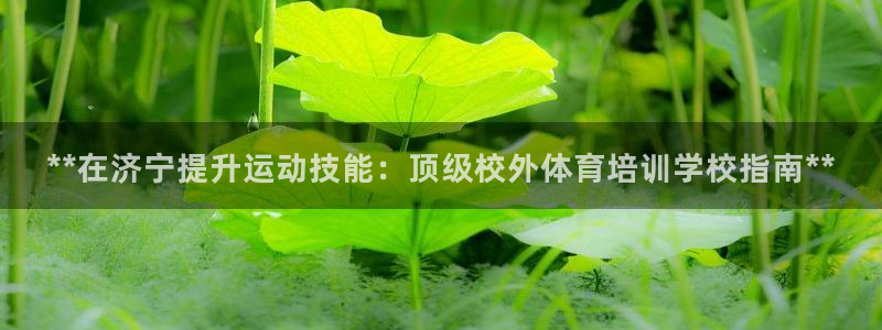 极悦平台官网下载中心：**在济宁提升运动技能：顶级校